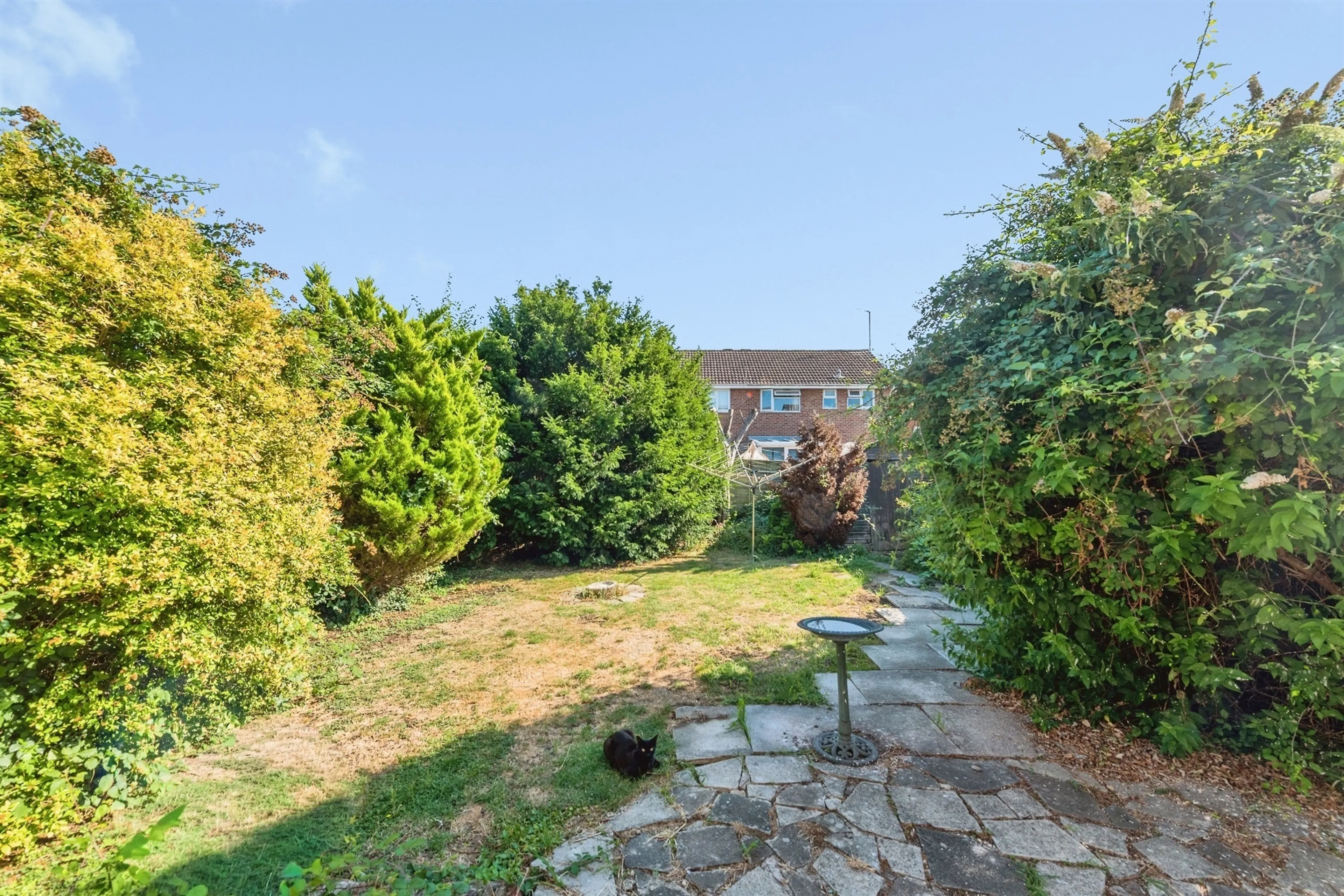 Property photo 13