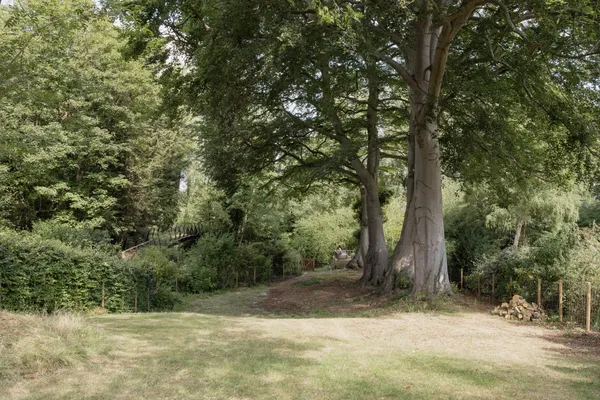 Watton Road, Colney, NR4 photo 3