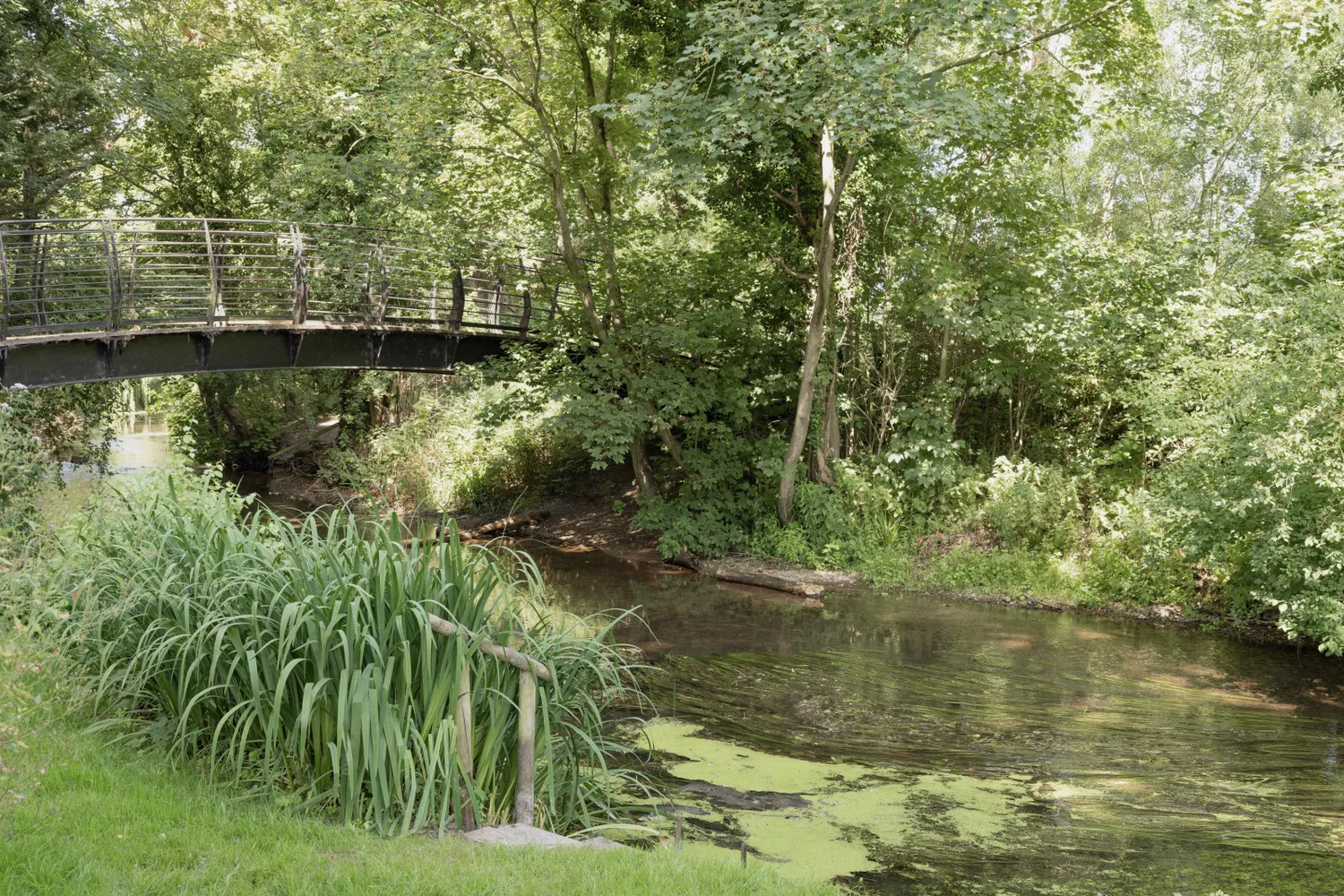 Watton Road, Colney, NR4 photo 37