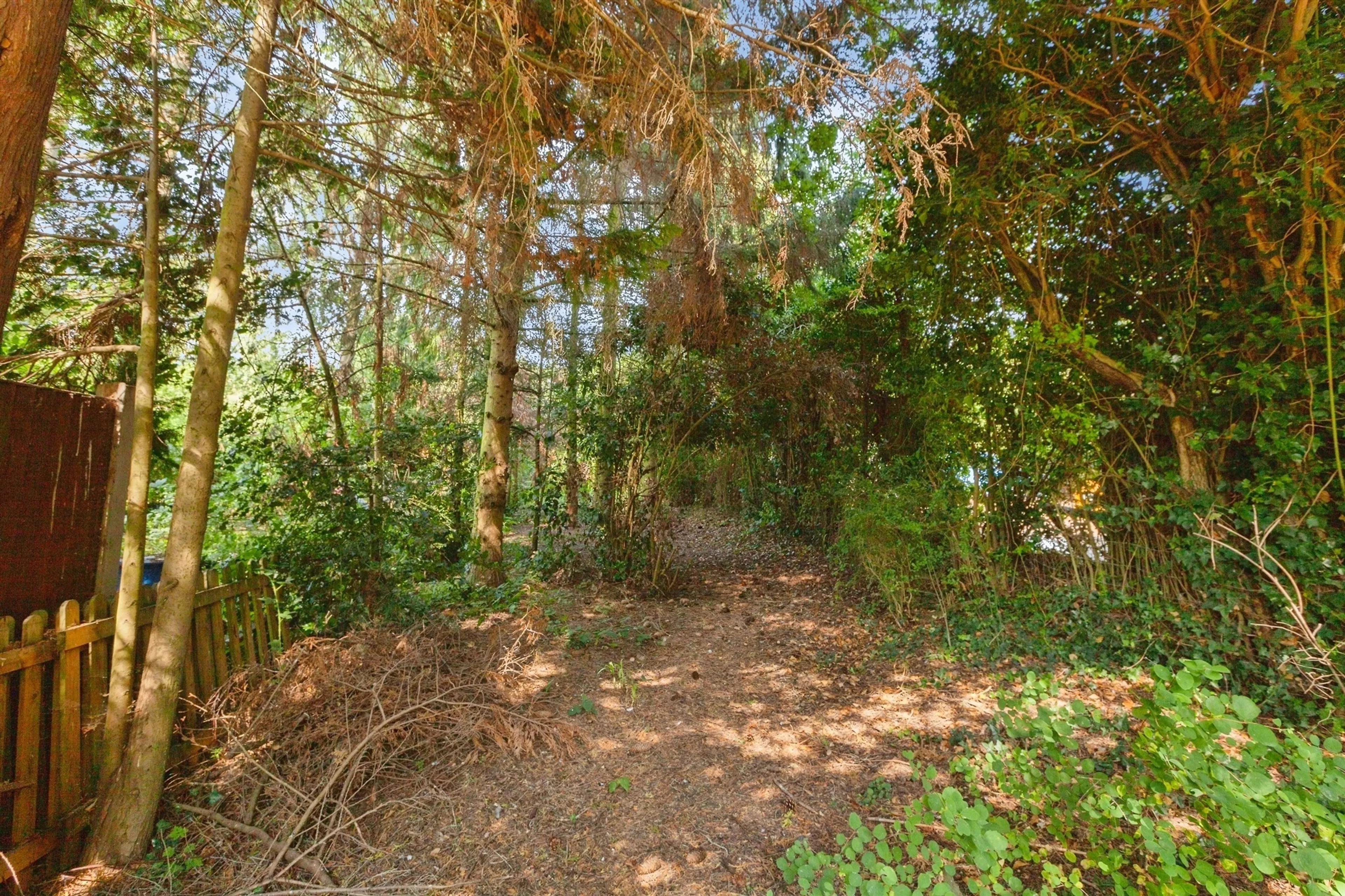 Property photo 17