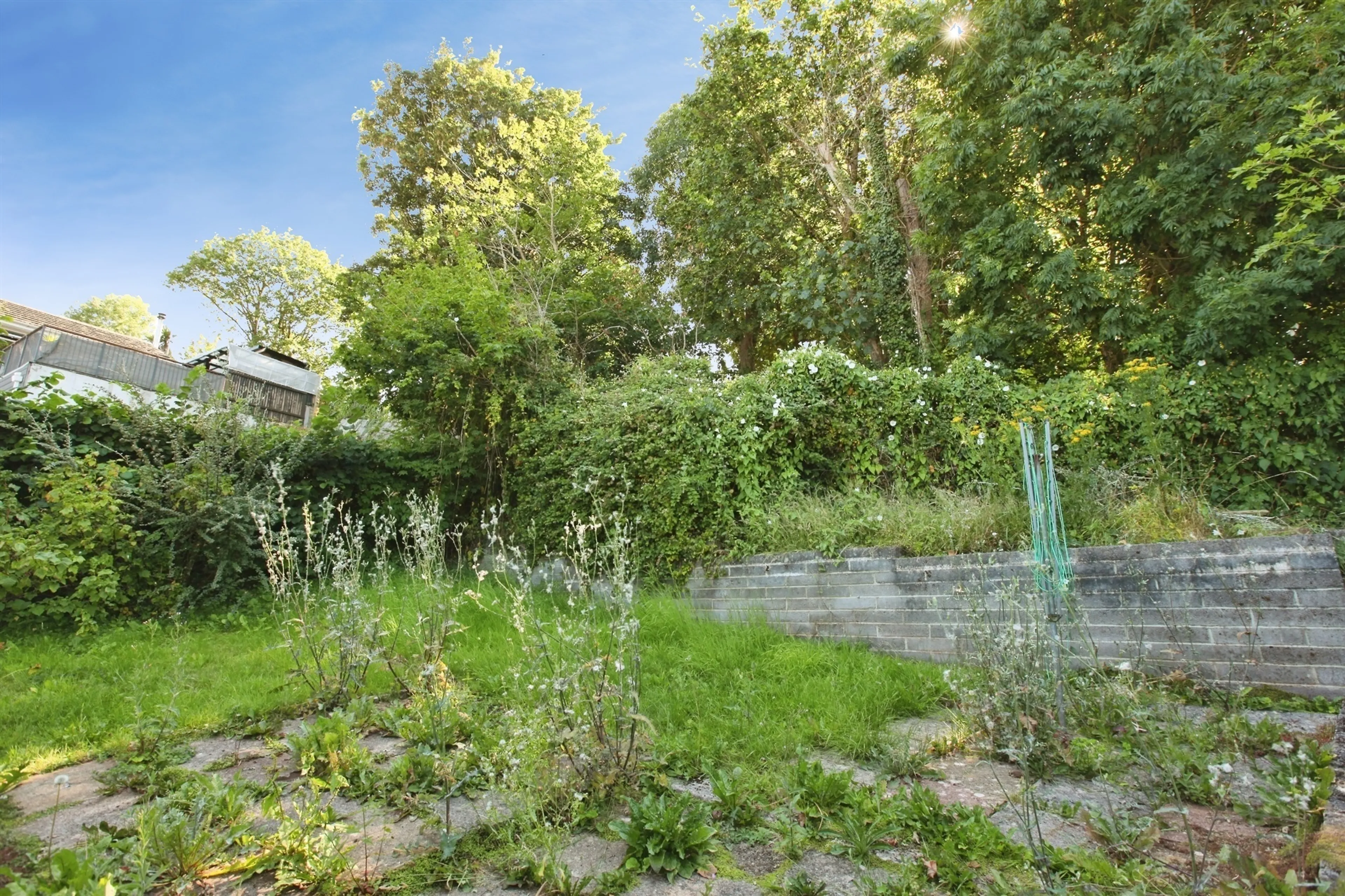 Property photo 13