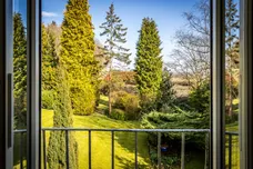 Wray Lane, Reigate, RH2 photo 12