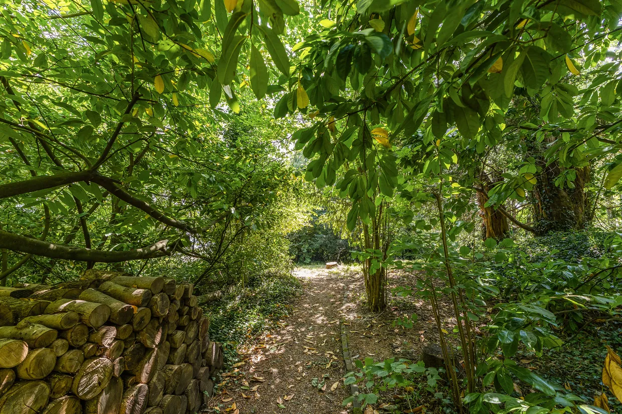 Wray Lane, Reigate, RH2 photo 20