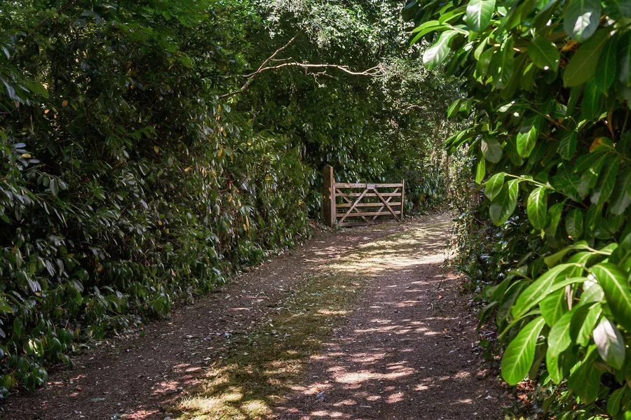 Property Image 32