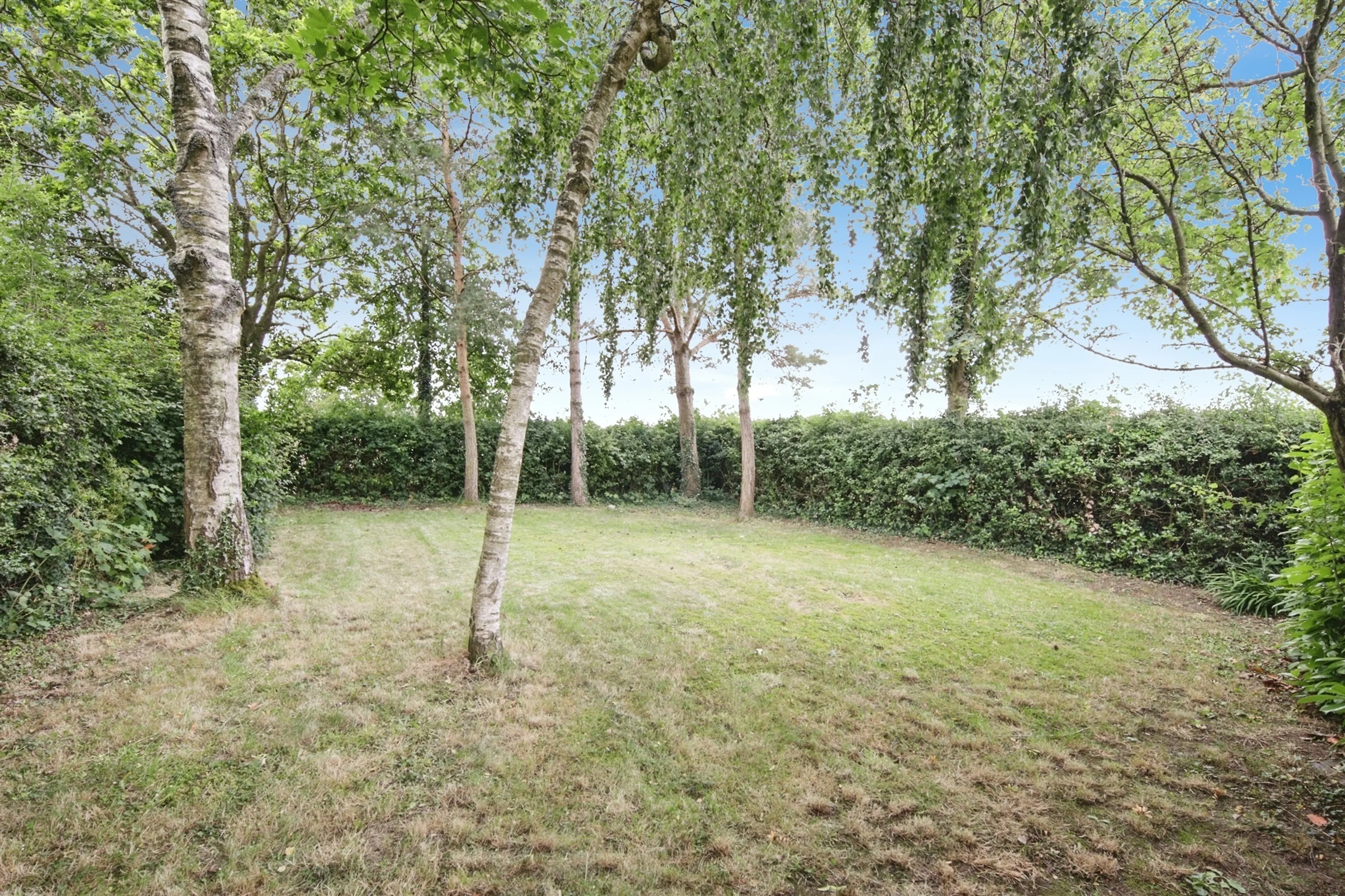 Property photo 14