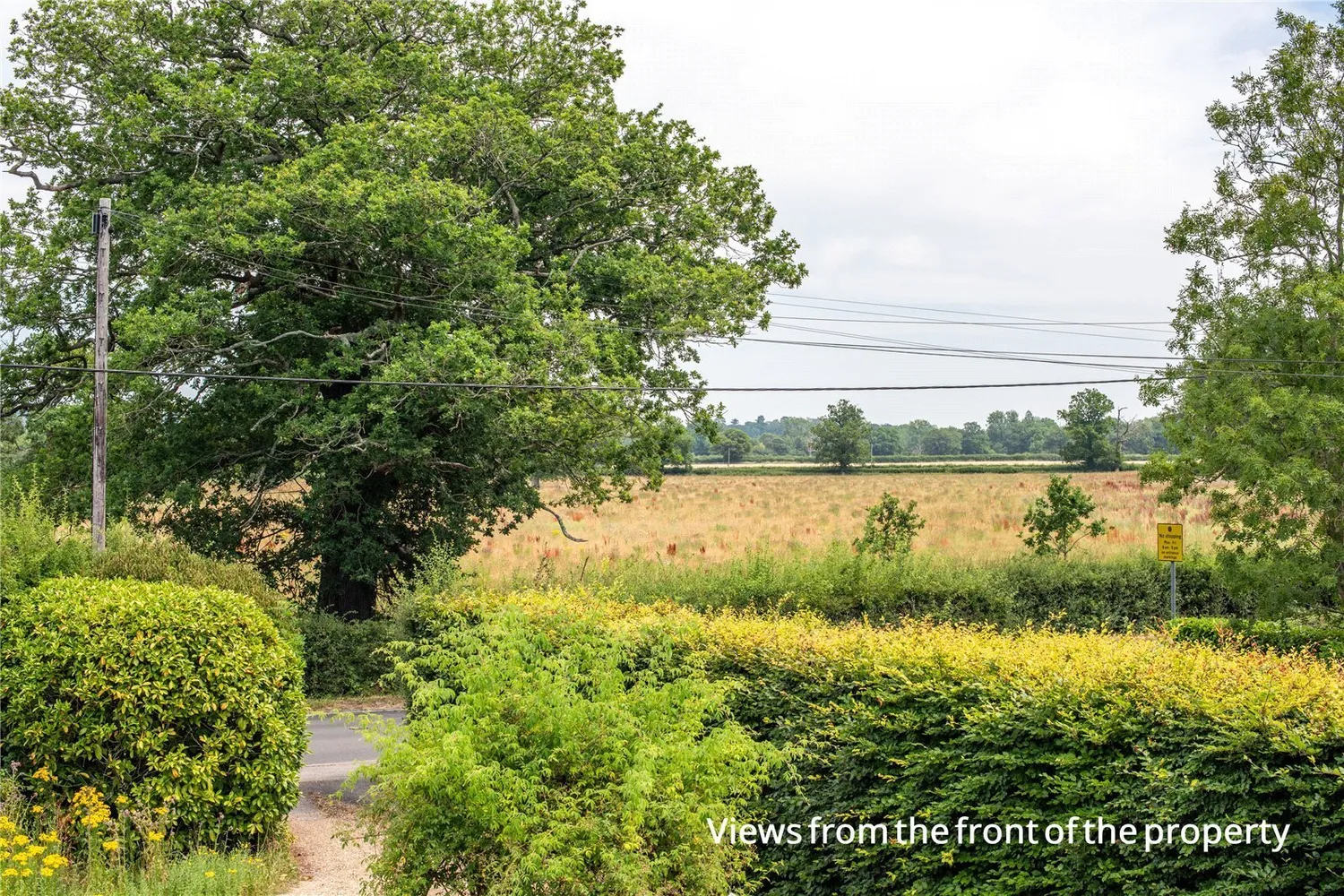 Tapners Road, Leigh, RH2 photo 21