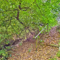 Property 26