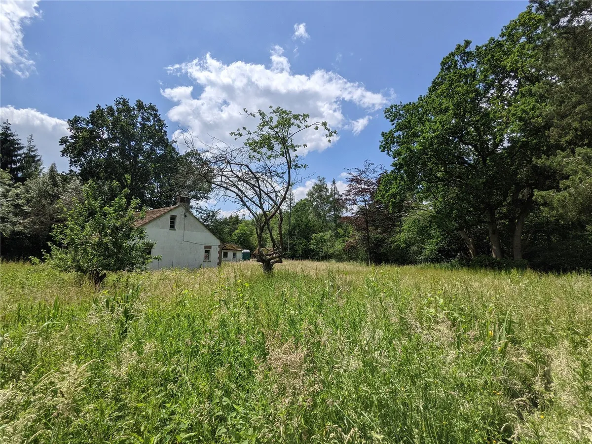 Building Plot, Pamber Green, RG26