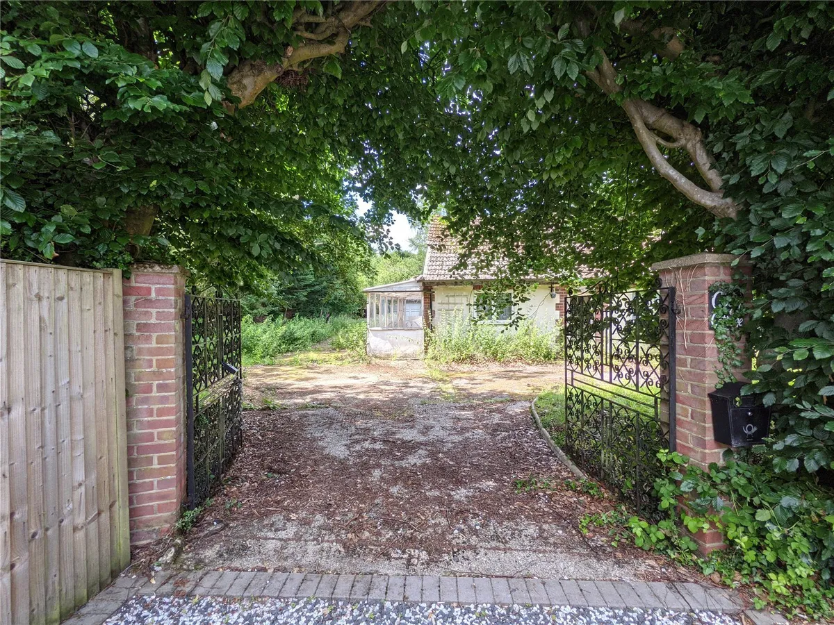 Building Plot, Pamber Green, RG26