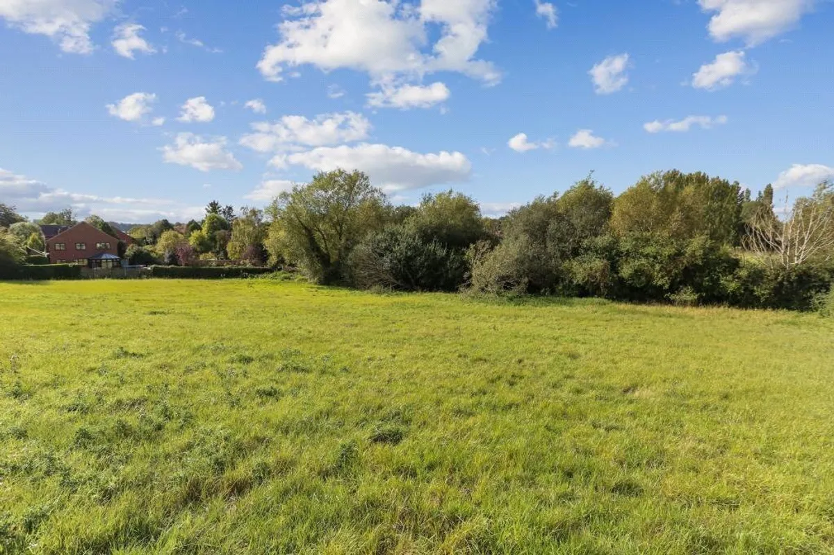 Vyne Meadow, Sherborne St John, RG24