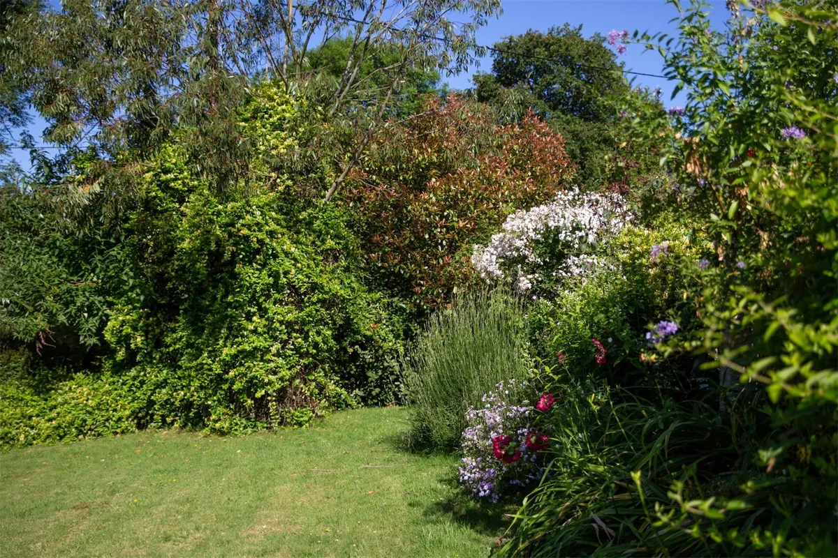 Fantley Lane, Bourton, Gillingham, Dorset, SP8