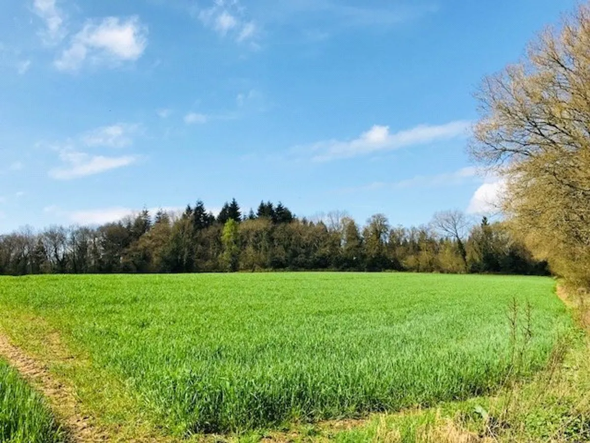 Mowbray Hill, Mortimer, Berkshire, RG7