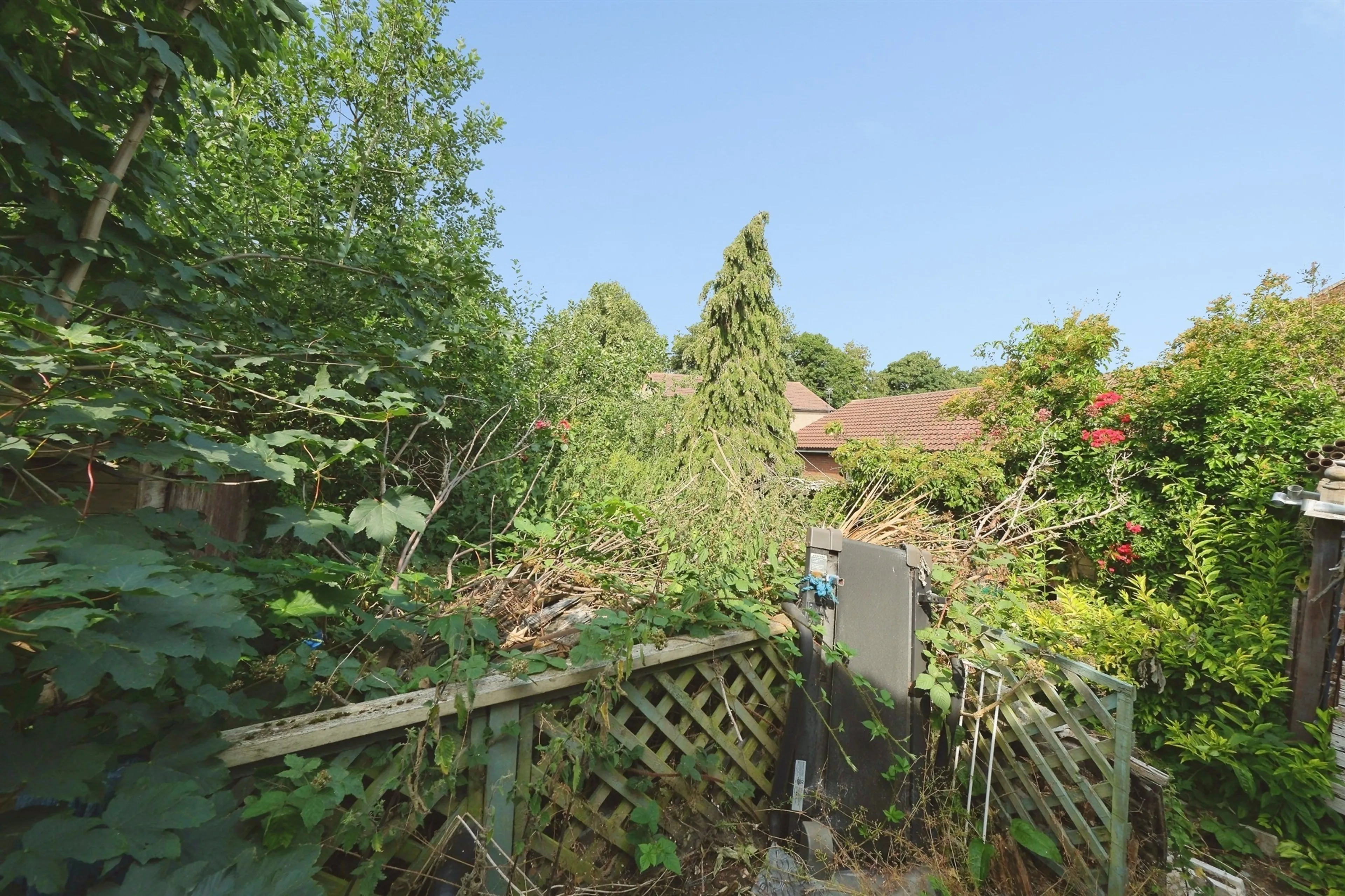 Property photo 17