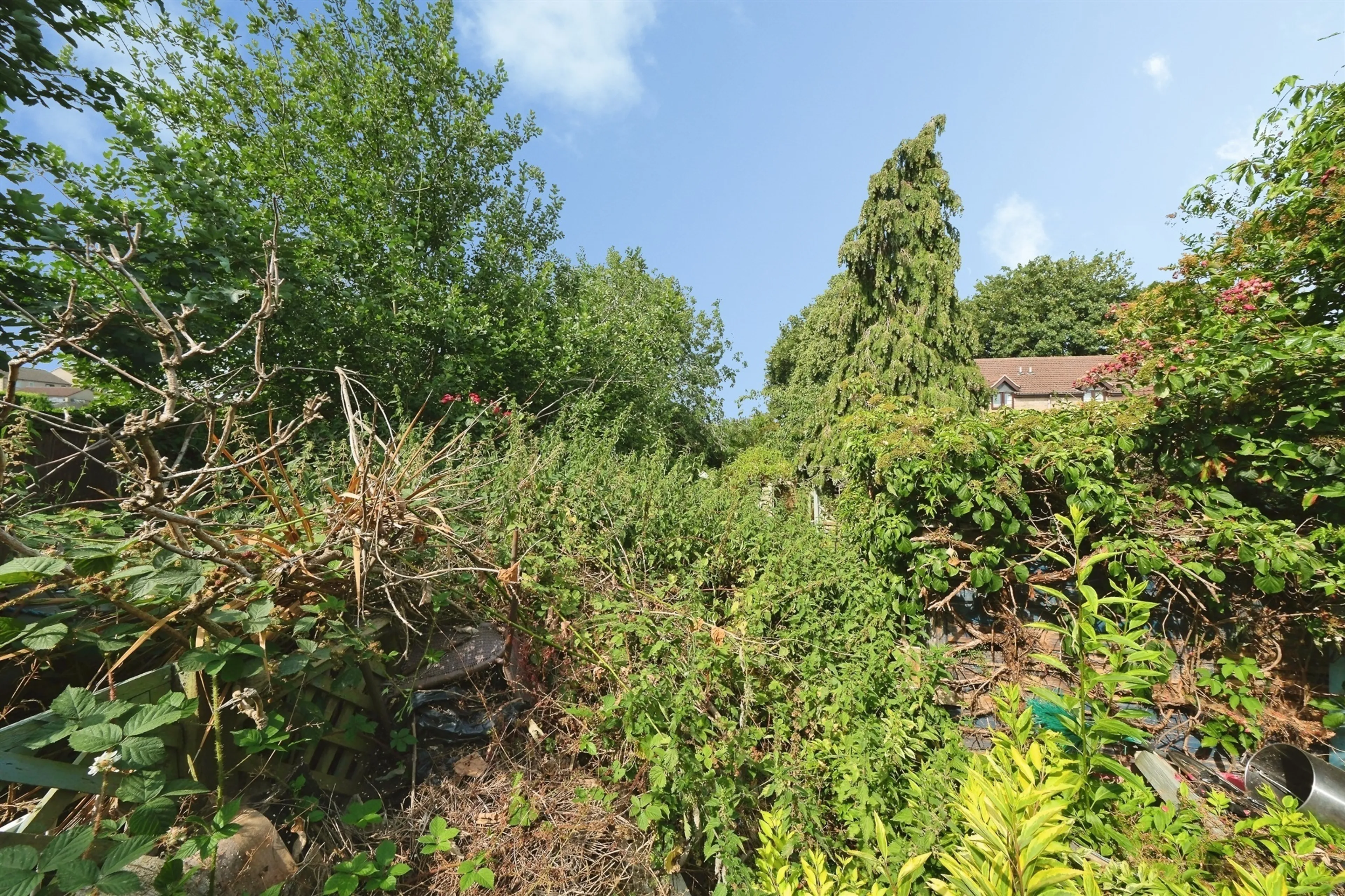 Property photo 18