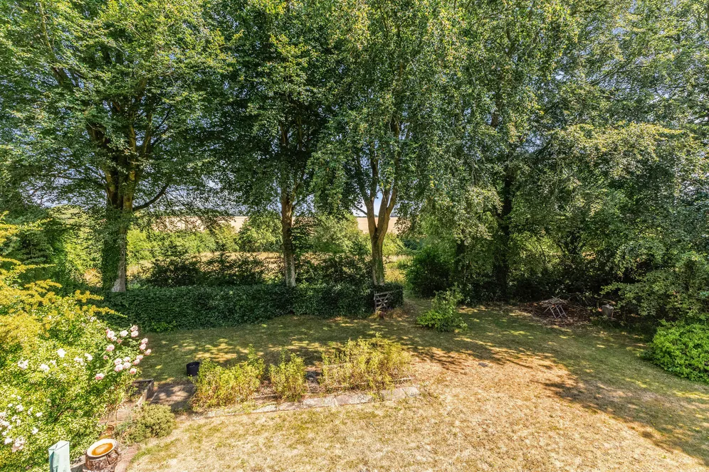 The Street, Long Sutton, RG29 photo 20