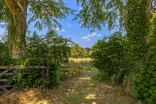 The Street, Long Sutton, RG29 photo 25
