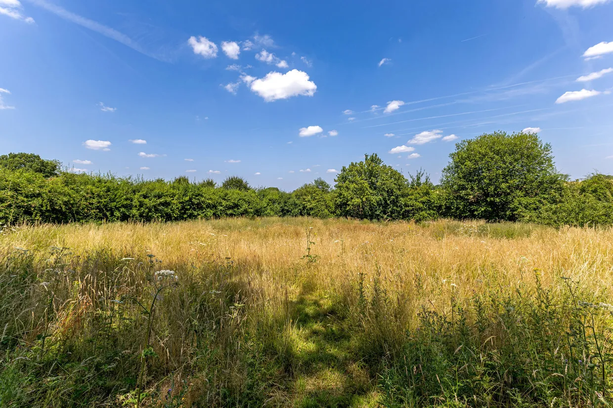 The Street, Long Sutton, RG29 photo 31