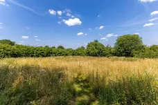 The Street, Long Sutton, RG29 photo 31