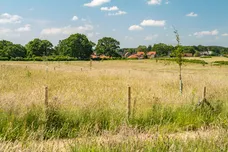 Edmondsham Road, Verwood