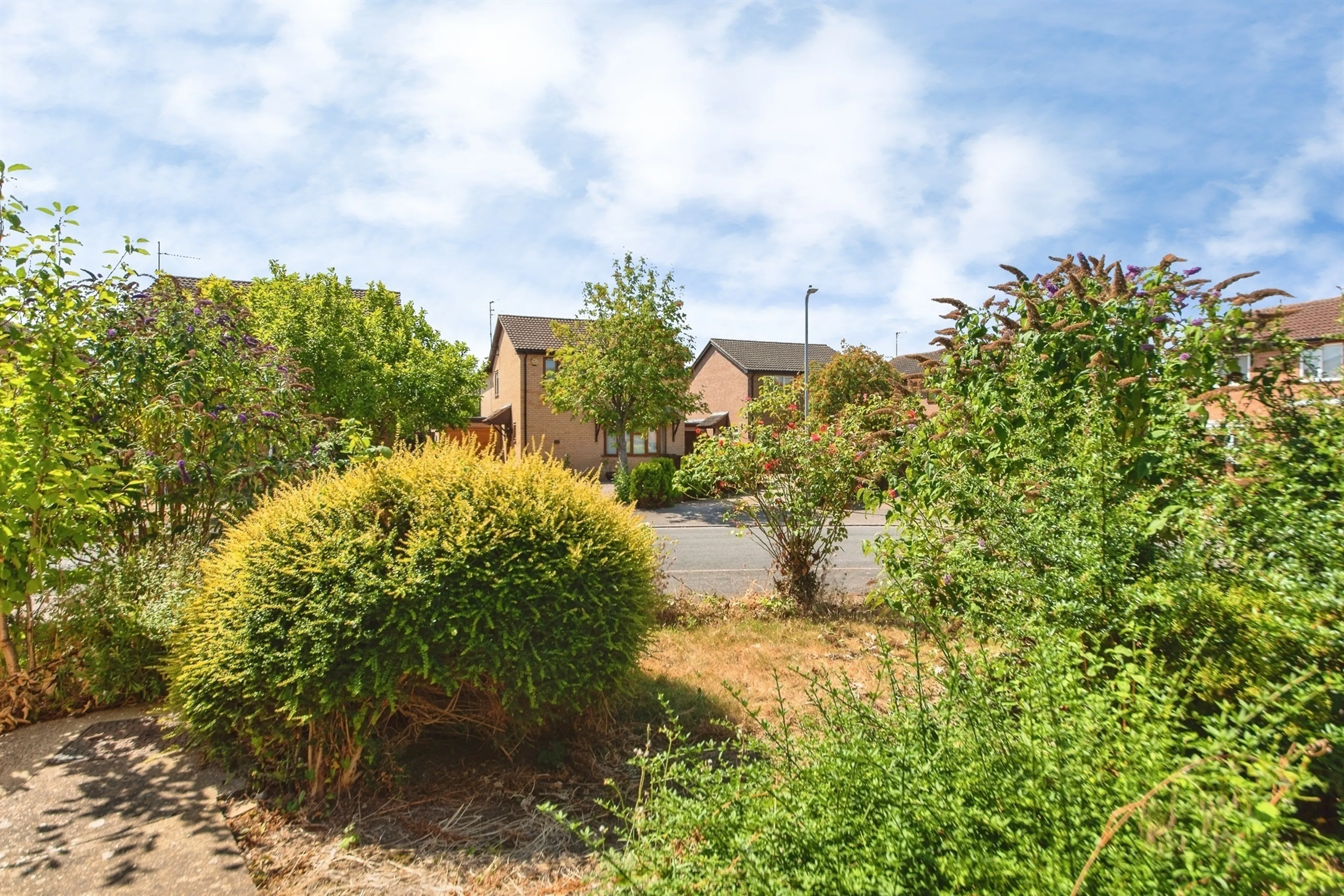 Property photo 16