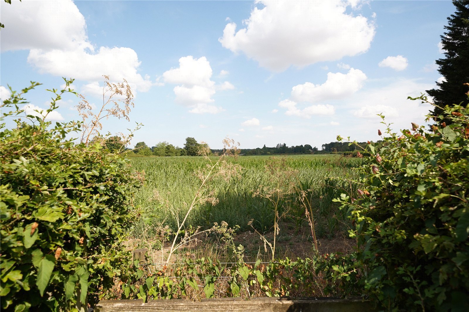 Herringswell Road, Kentford, Newmarket, Suffolk, CB8 Image 17