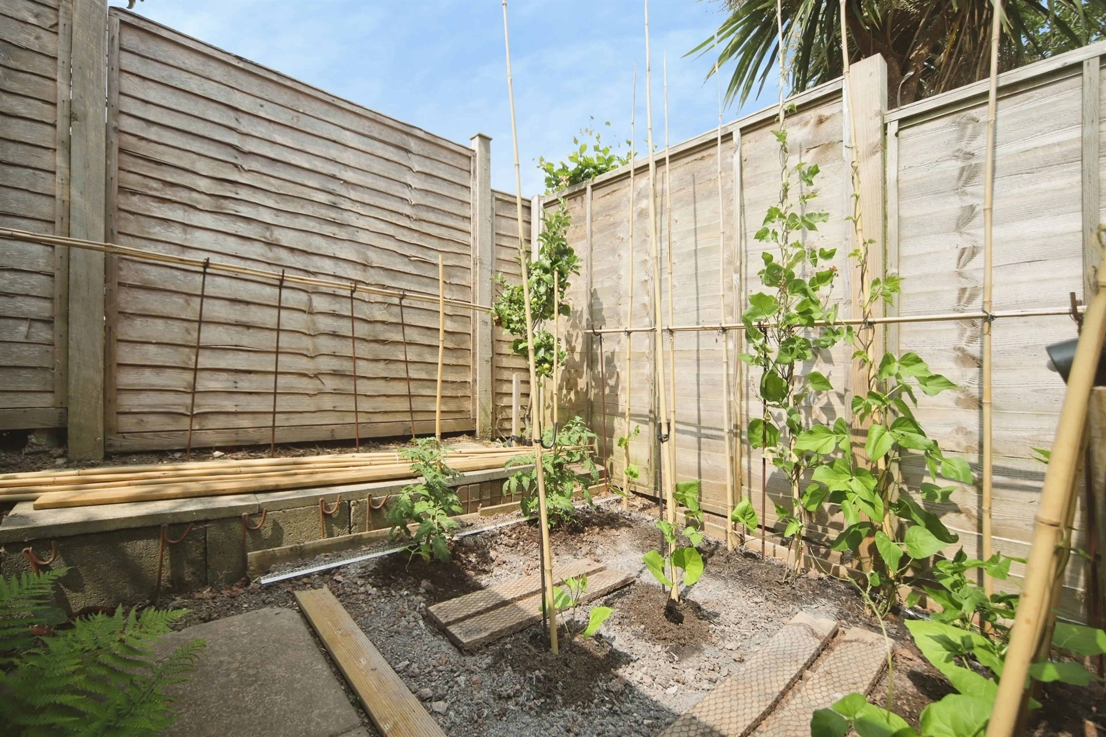 Property photo 21