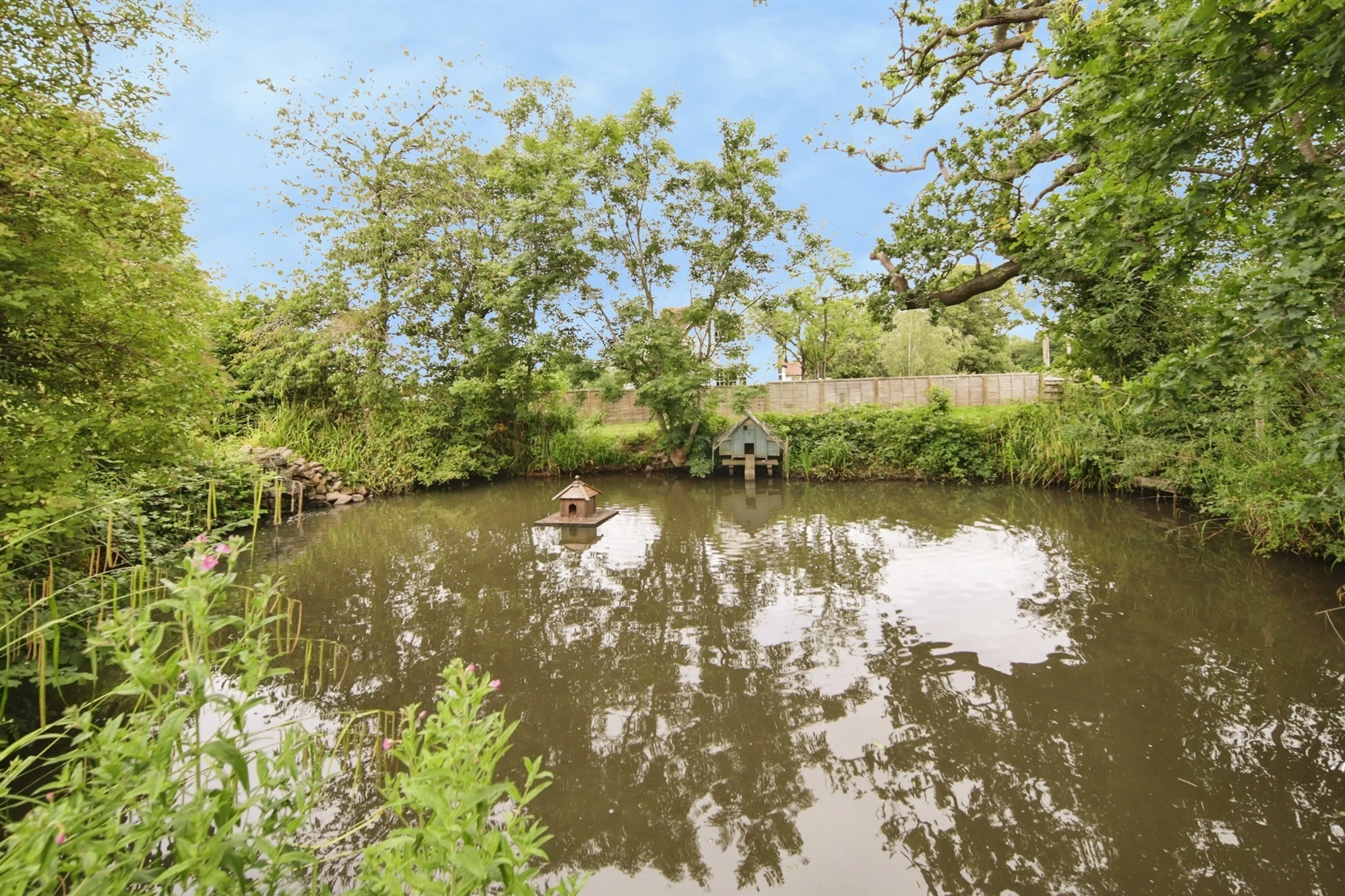Property photo 19