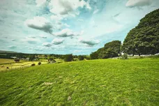 The Ditch, Chelmorton, Buxton