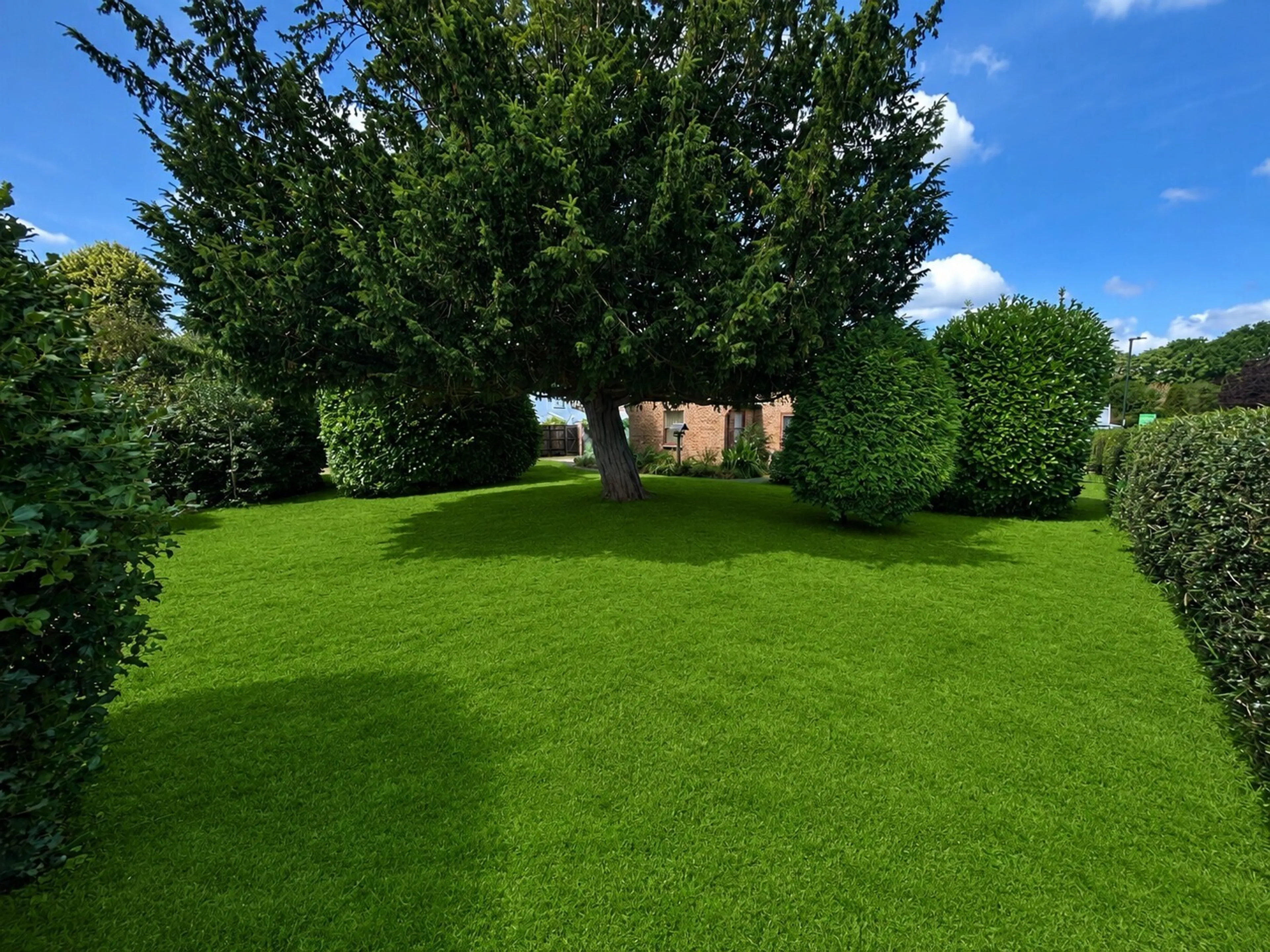 Property photo 22