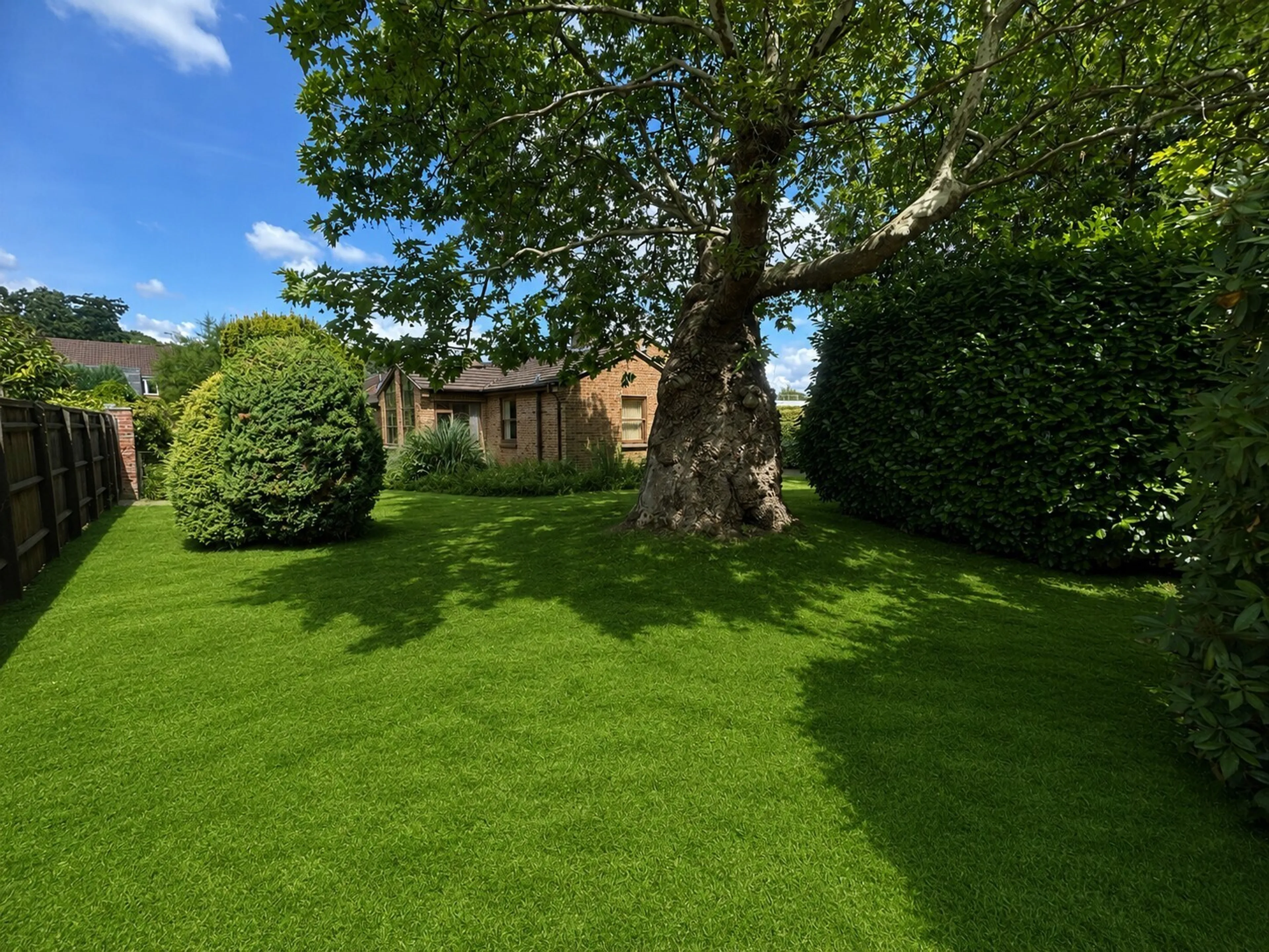 Property photo 23