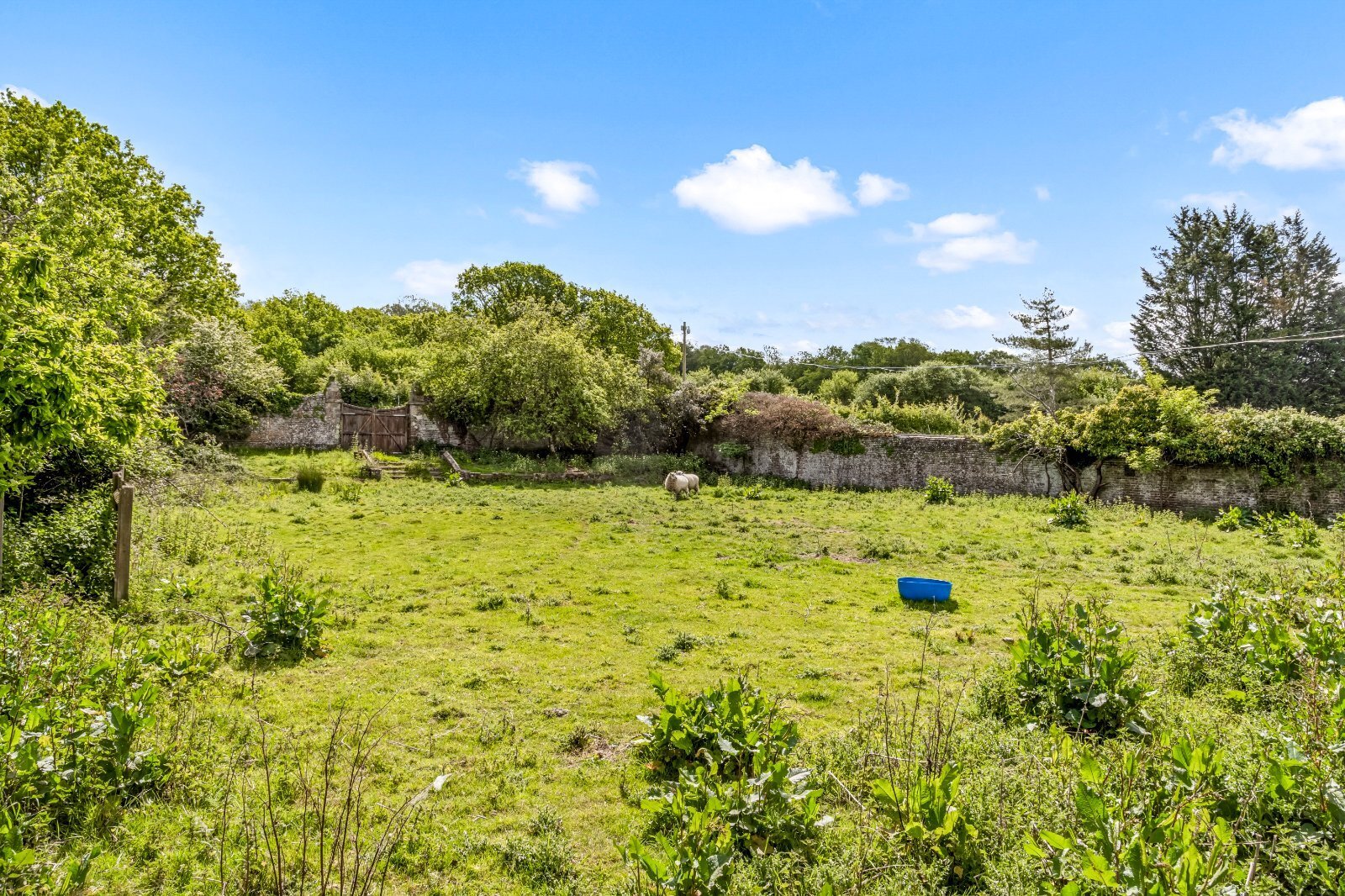 Hempstead Lane, Uckfield, East Sussex, TN22 Image 5