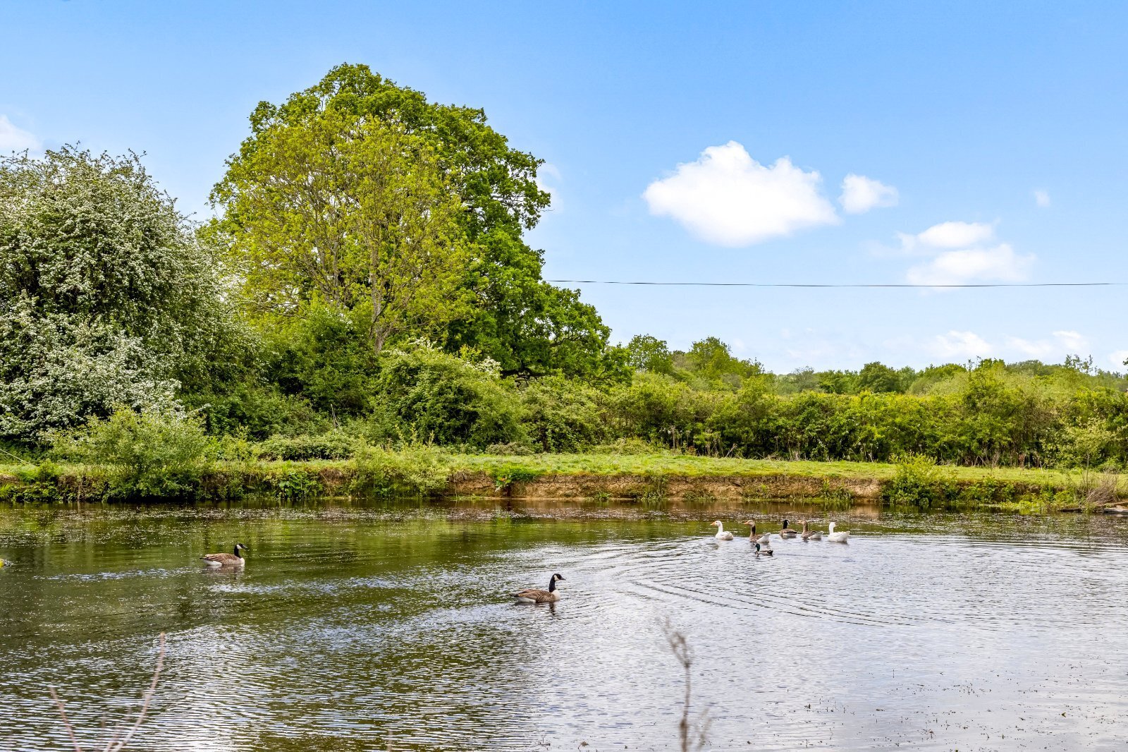 Hempstead Lane, Uckfield, East Sussex, TN22 Image 28