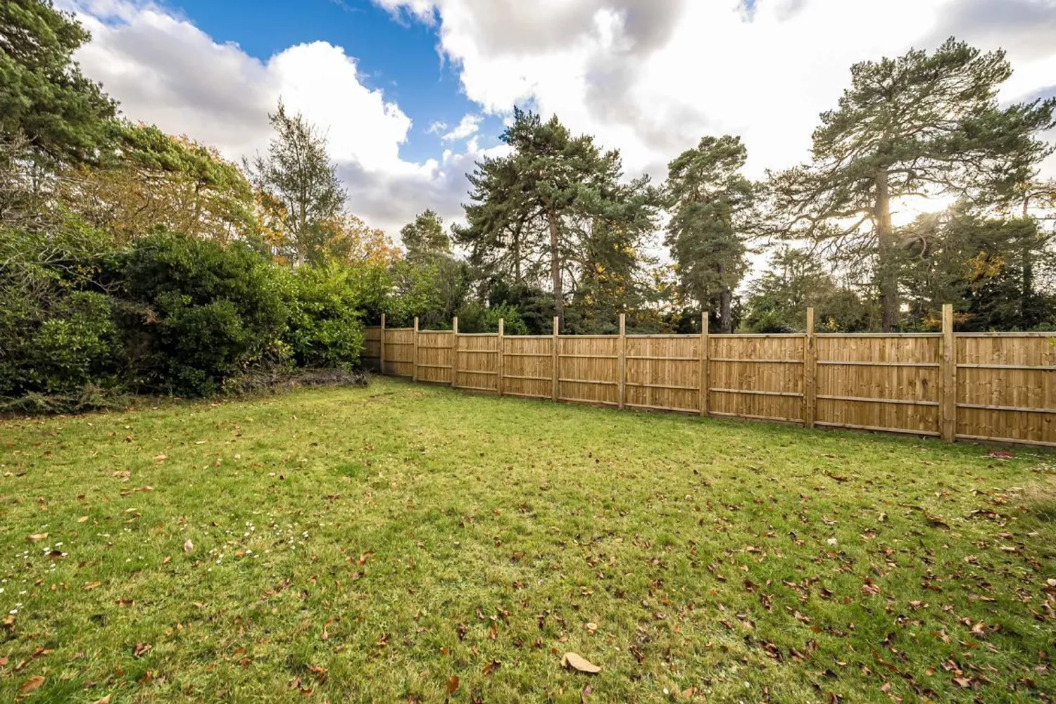 Queens Road, Weybridge, KT13 photo 9