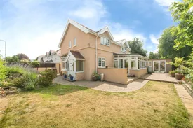 Property responsive