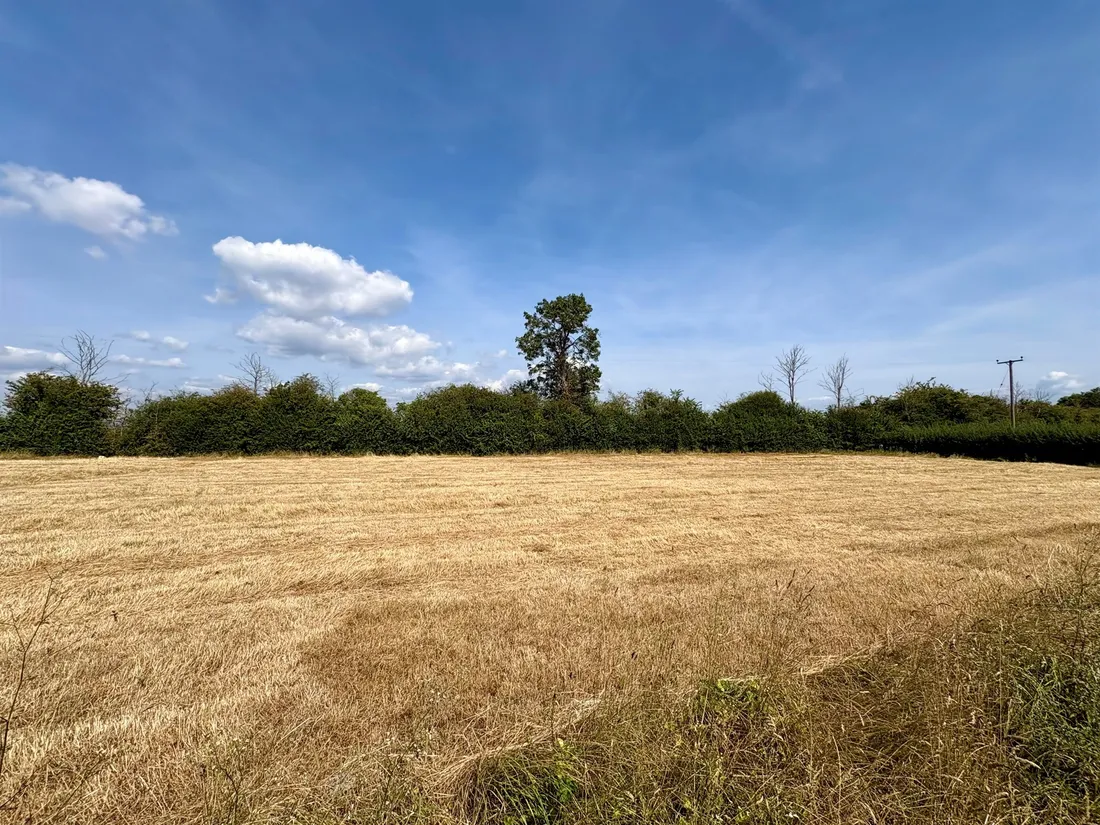 Property photo 28