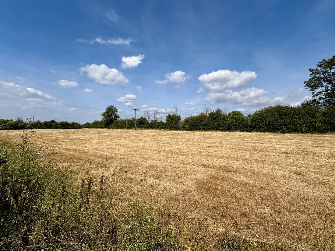 Property photo 29