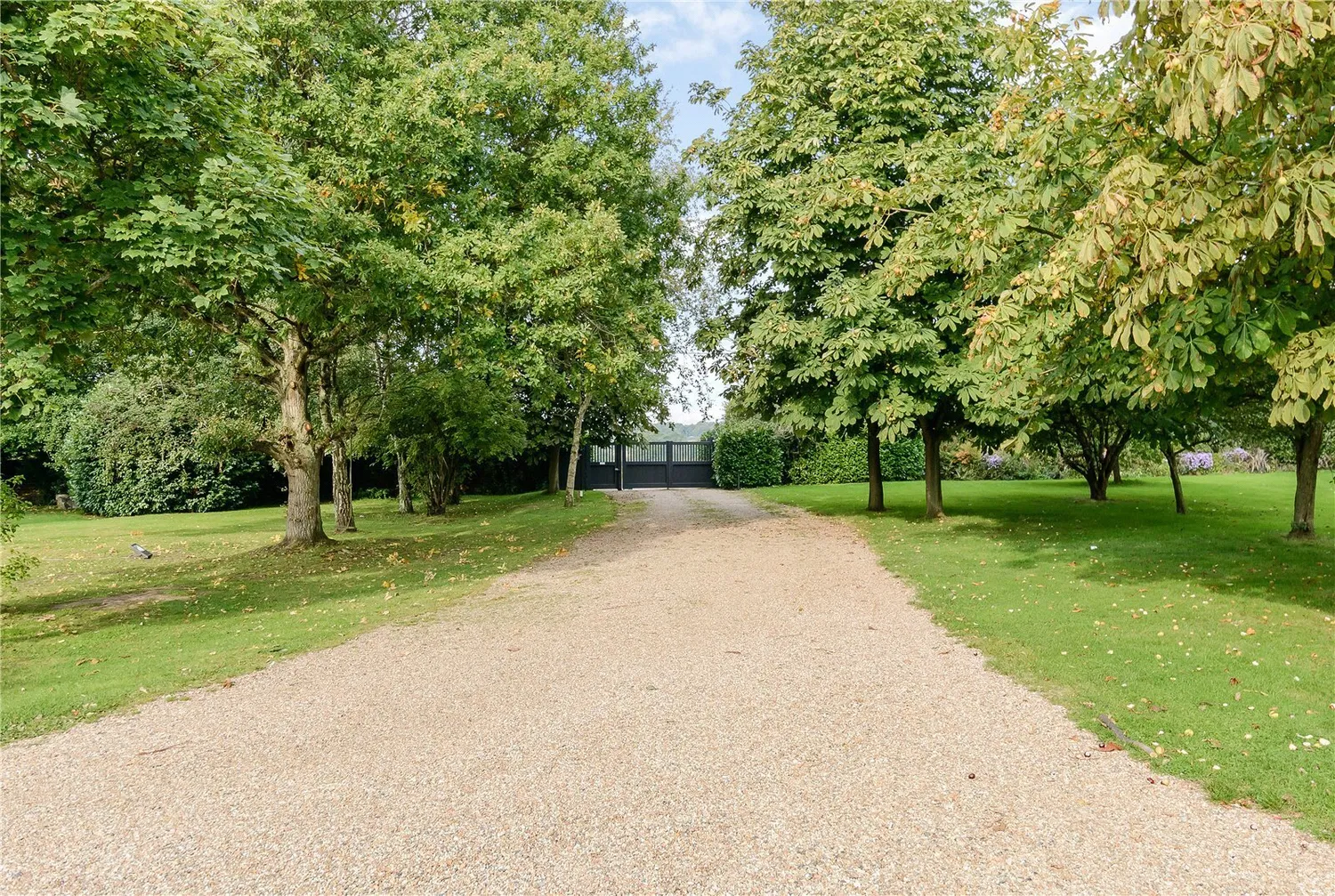 Writtle Road, Margaretting, CM4 photo 10