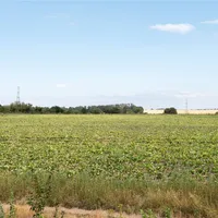 Property 12
