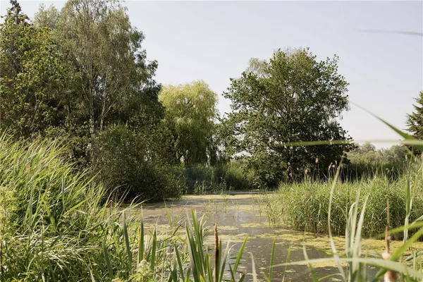 Surlingham, Norwich, NR14 photo 20