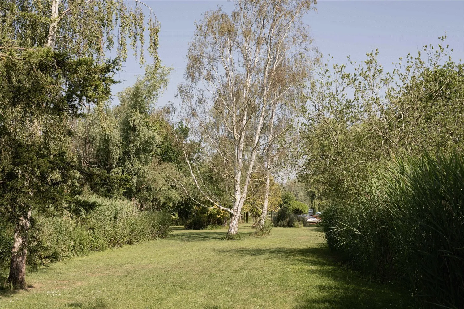 Surlingham, Norwich, NR14 photo 31