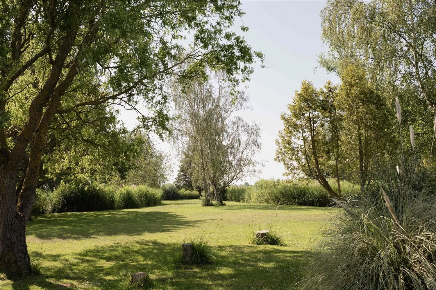 Surlingham, Norwich, NR14 photo 34