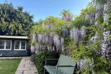 Ridgeway, Plymouth
