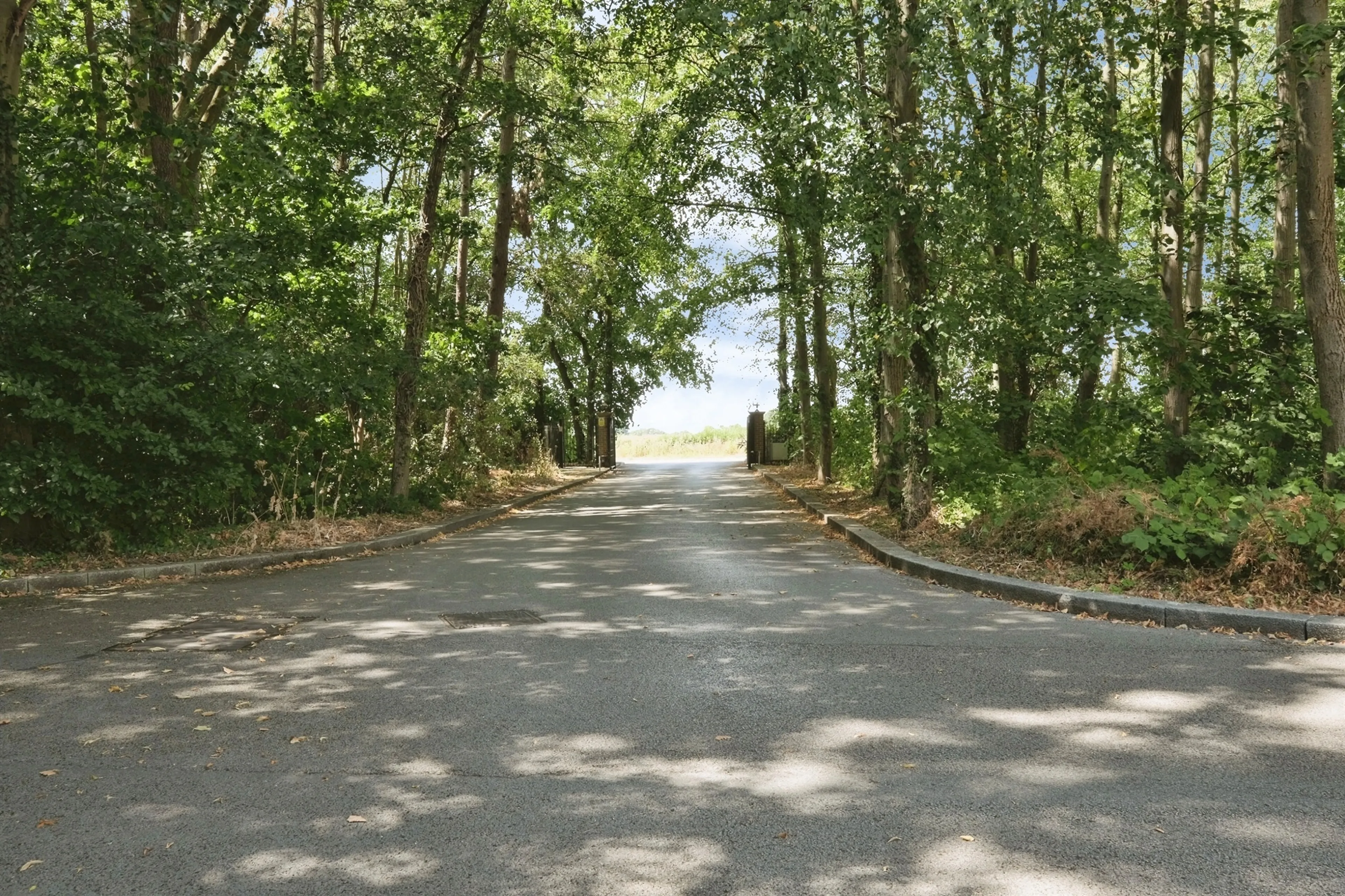 Property photo 22