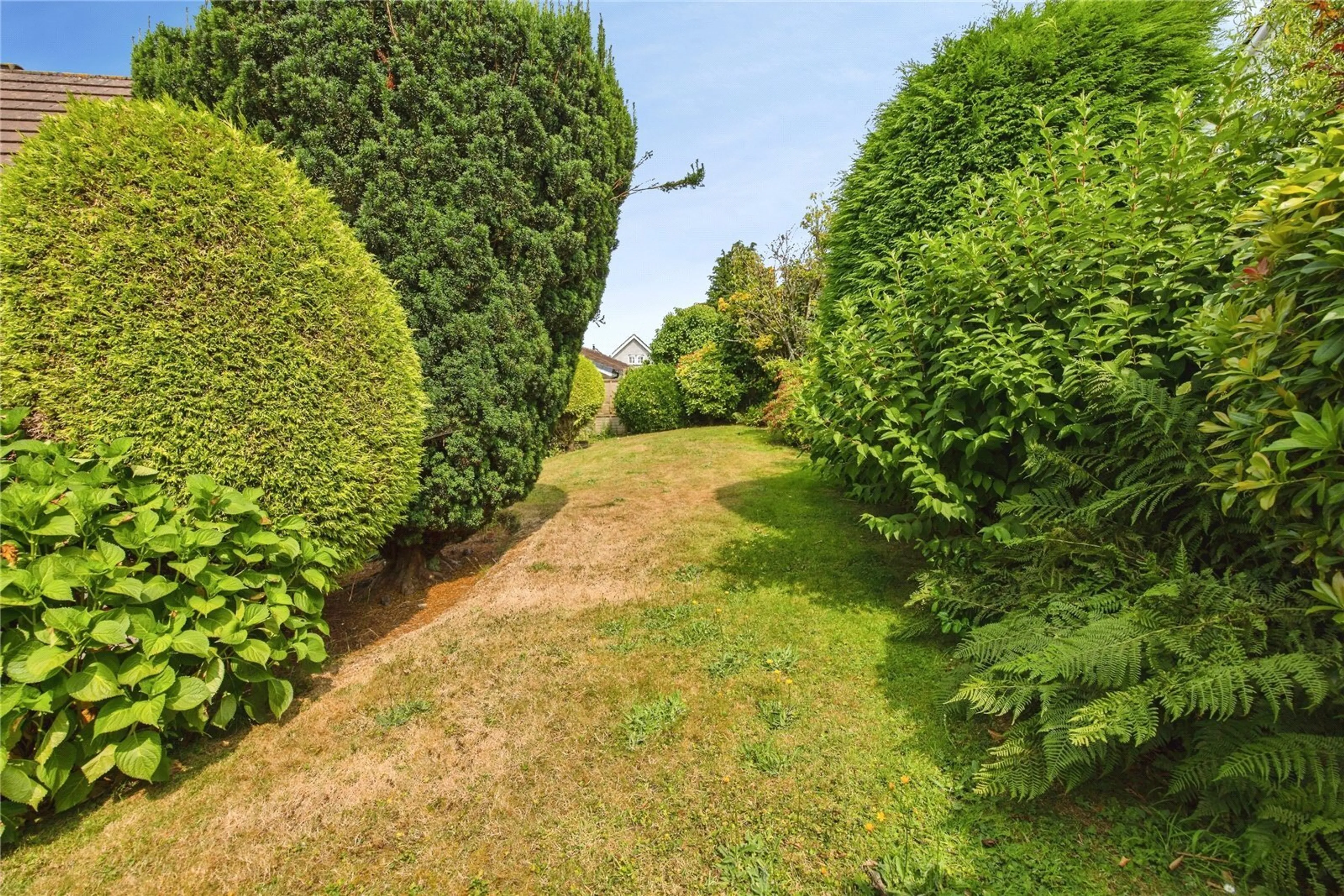 Property photo 22