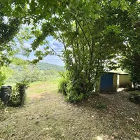 Property 25