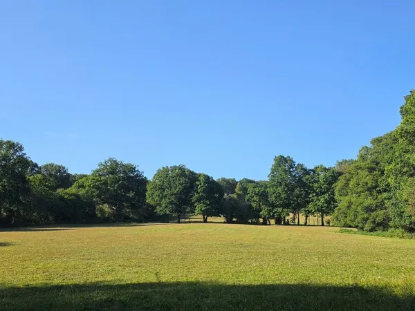 Hammerpond Road, Plummers Plain, Hors...