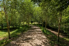 The Green, Edge, Stroud, GL6 photo 21
