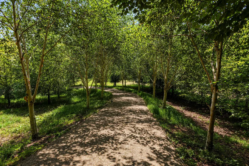 The Green, Edge, Stroud, GL6 photo 21