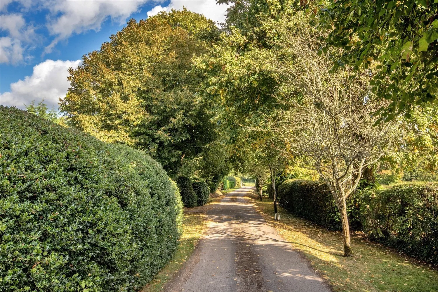 Hinksden Road, Benenden, TN17 photo 7