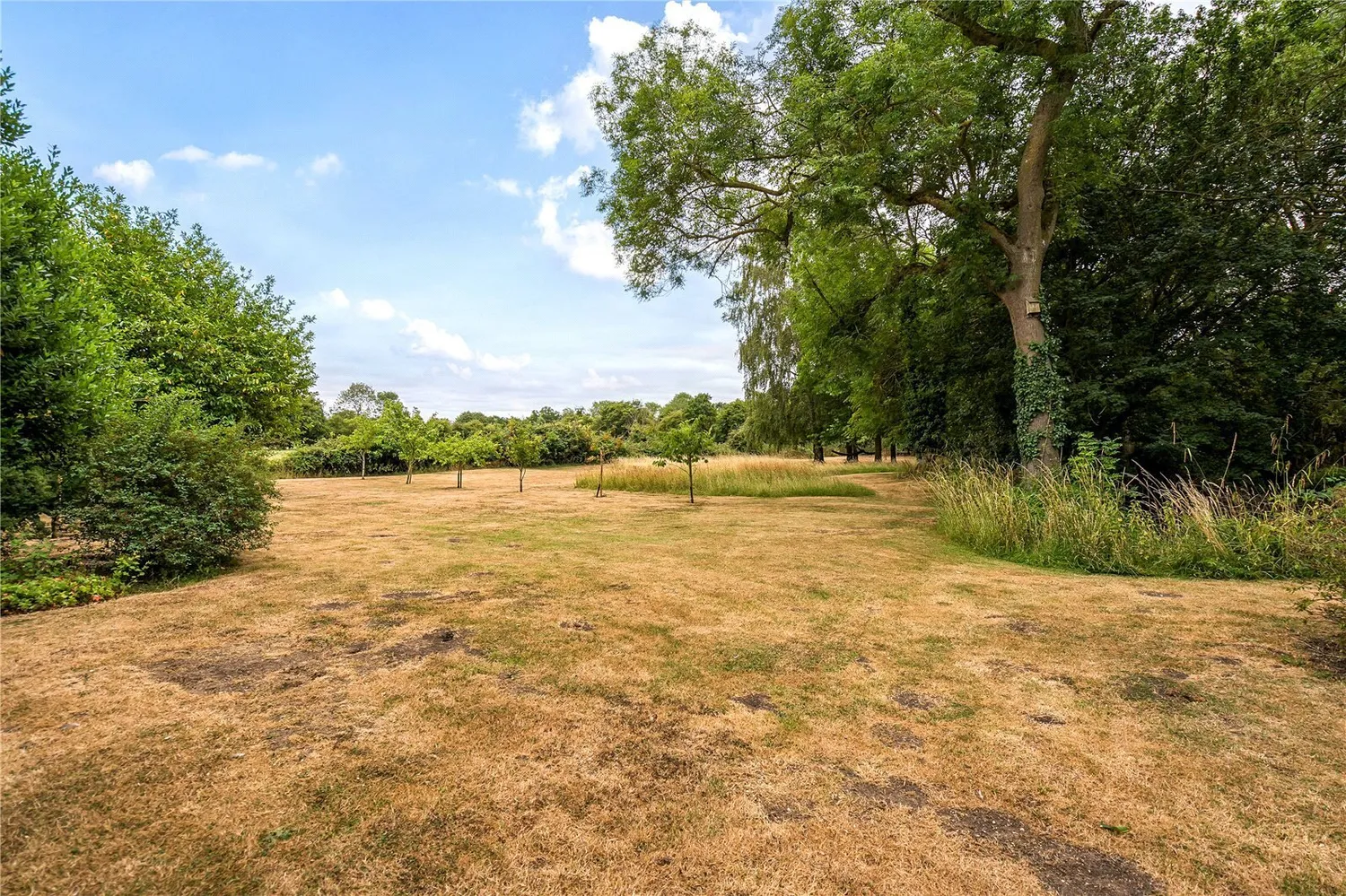 Cow Pasture Barn, The Common, IP23 photo 3